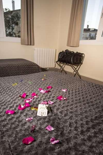 Brit Du Parc Centre-parking Gratuit 3* Niort